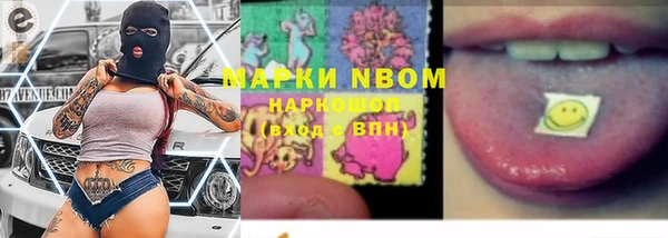 прущий лед Алзамай