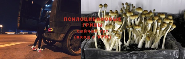 кокаин премиум Рославль