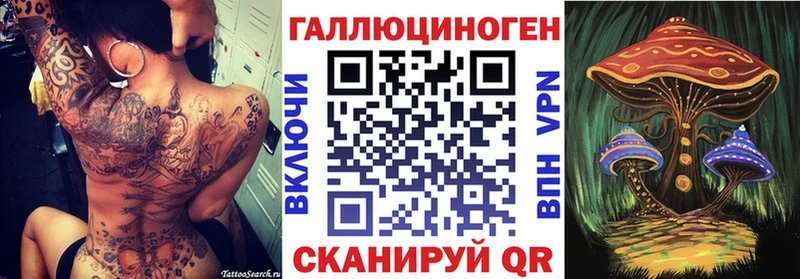 Псилоцибиновые грибы GOLDEN TEACHER  Борзя 